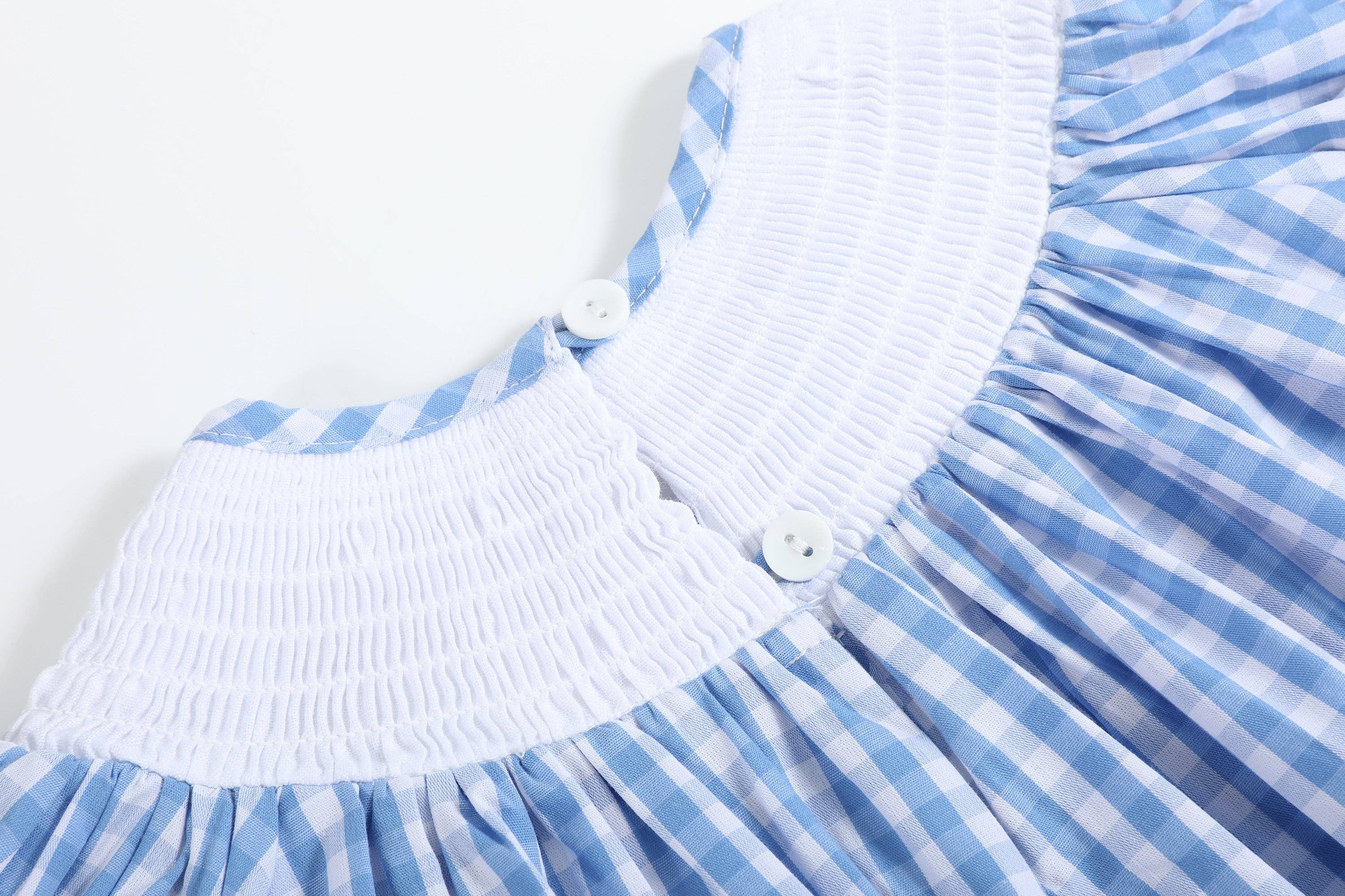 Blue Gingham Farm Dress